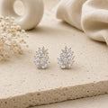 Crystal Leaf Stud Earrings – 925 Silver Polish
